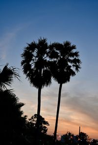 Silhouette palm trees against sky during sunset