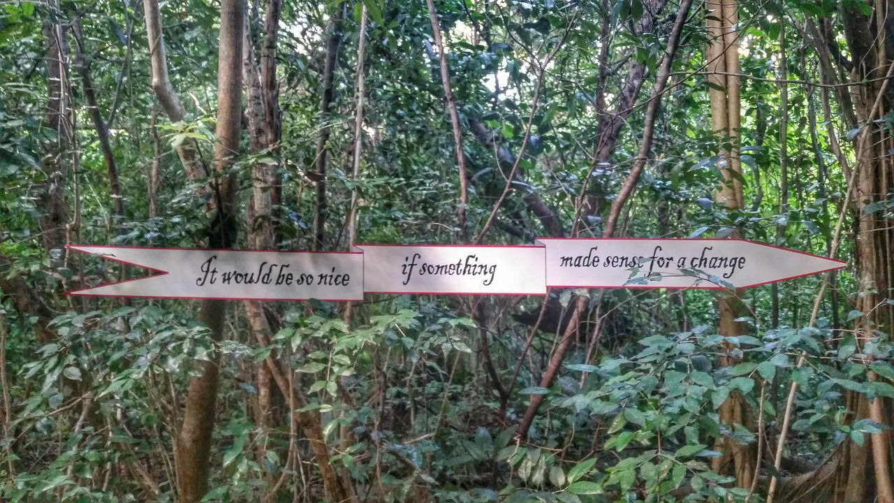 text, western script, tree, communication, forest, growth, tree trunk, plant, nature, information sign, tranquility, woodland, green color, non-western script, day, sign, branch, no people, leaf, beauty in nature