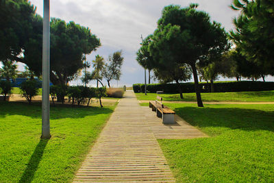 Footpath in park