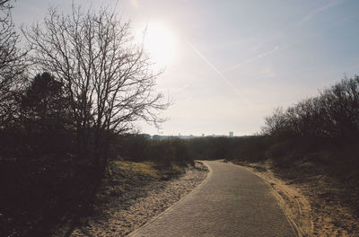 Empty road amidst bare trees against sky