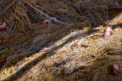 Nets left to get dried