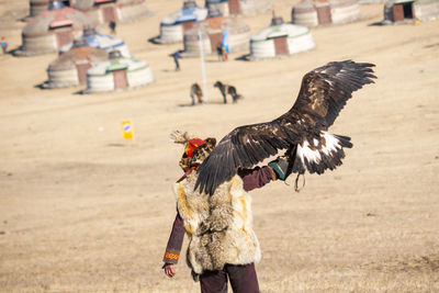 Bird flying over land