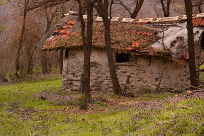 Old house on field against trees