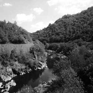 Scenic view of river amidst trees against sky