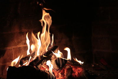 Close-up of bonfire at night