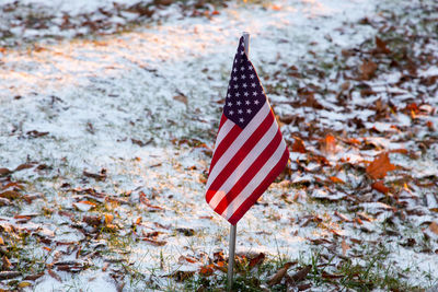 American flag on short pole floating in quebec cemetery
