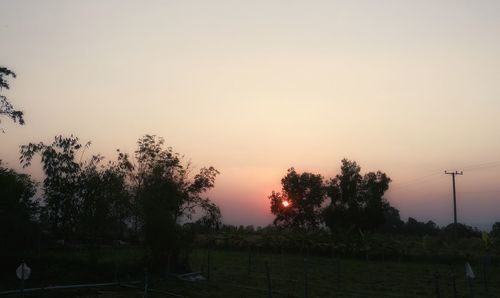 Silhouette trees against sky at sunset