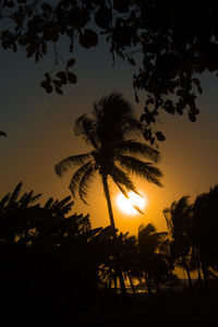 Low angle view of silhouette palm trees against sky during sunset