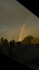 Rainbow over trees against sky