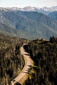 Scenic view of mountains at olympic national park