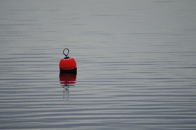 High angle view of red buoy floating on water