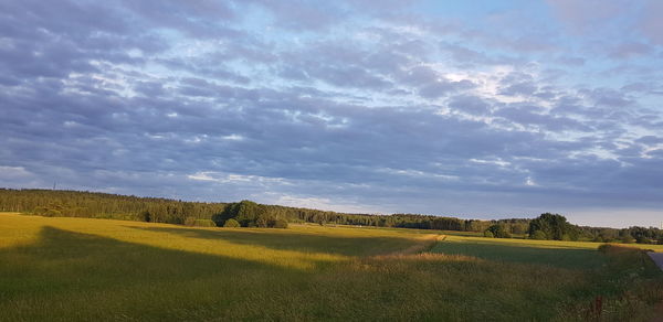 Scenic view of landscape against sky