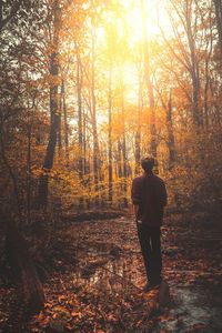 Rear view of man in forest during sunset