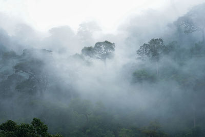 Scenic view of fog against sky