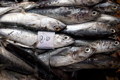 Close-up of fish for sale in market