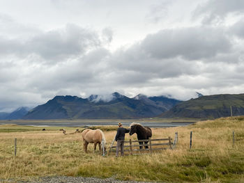 Horses grazing on field against sky