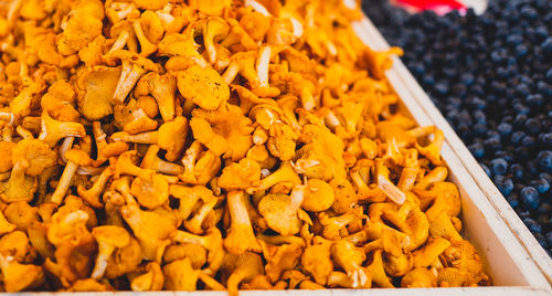 Close-up of mushrooms for sale