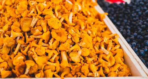 Close-up of food