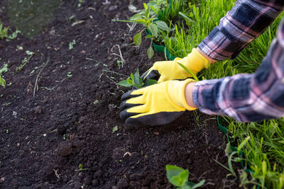 Midsection of man working at farm