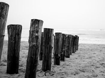 Wooden posts on beach against clear sky