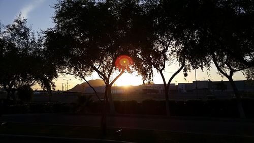 Road at sunset