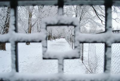 fence