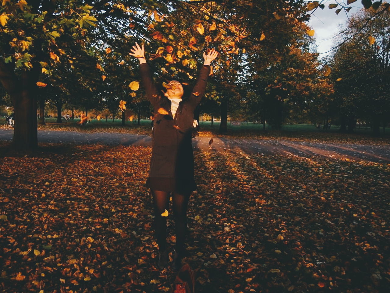 tree, lifestyles, autumn, leisure activity, standing, season, change, nature, rear view, leaf, full length, orange color, walking, tranquility, casual clothing, growth, beauty in nature, outdoors