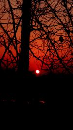 Low angle view of silhouette trees against sky during sunset