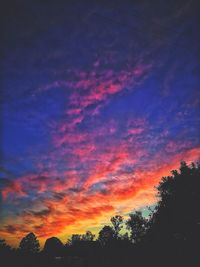 Low angle view of silhouette trees against dramatic sky