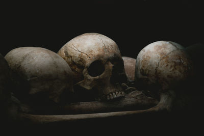 Close-up of human skull against black background