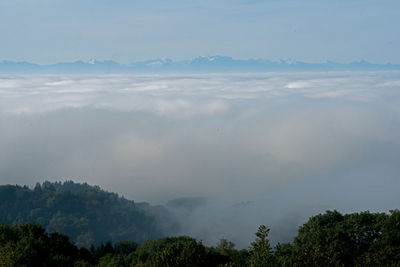 Scenic view of landscape against sky