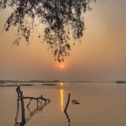 Scenic view of sea against orange sky