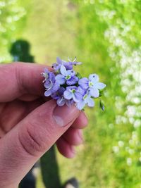 Cropped hand of woman holding flower