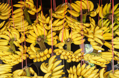 Close-up of yellow flowers for sale