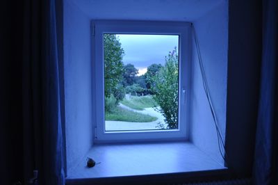 Trees seen through window of house