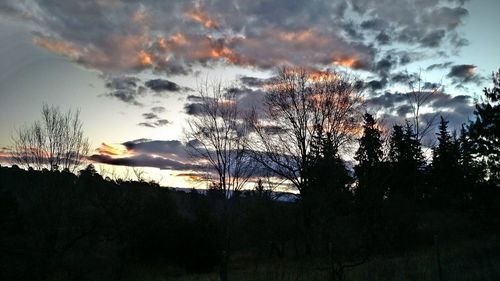 Silhouette trees on field against sky at sunset