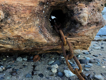 Close-up of rock in water