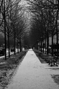 Road amidst bare trees against sky