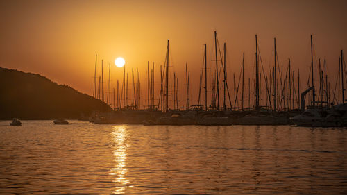 Sailboats in marina at sunset