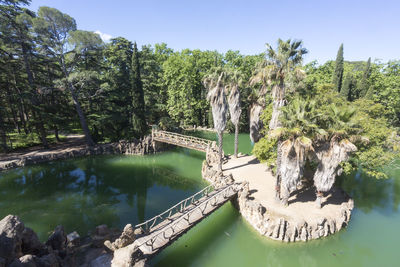 Panoramic view of trees at riverbank