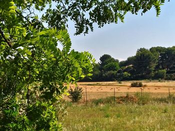 Scenic view of farm against sky