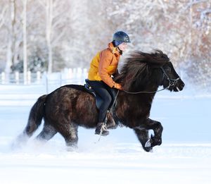 Man riding horse on snow covered field