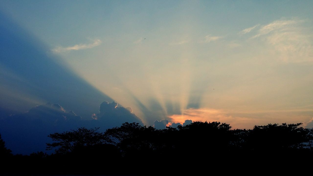 tree, silhouette, scenics, sky, beauty in nature, tranquility, tranquil scene, sunset, nature, cloud - sky, low angle view, idyllic, vapor trail, sunbeam, outdoors, cloud, rainbow, sunlight, no people, growth
