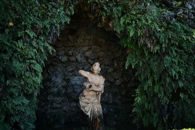 Statue amidst plants