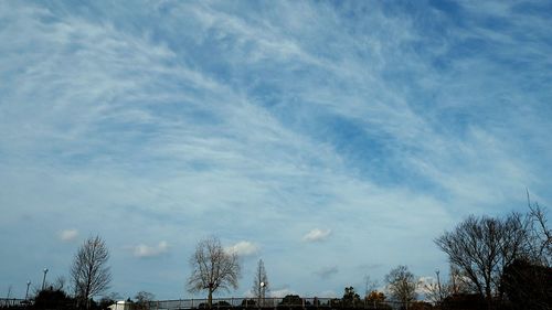 Low angle view of trees against cloudy sky