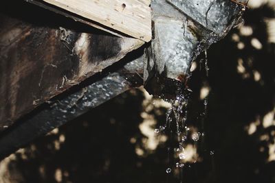Close-up of frozen water on roof