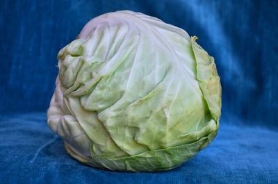 cabbage