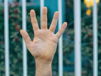Close-up of human hand against blurred background