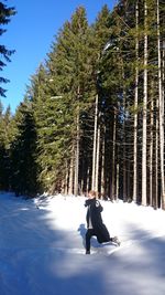 Full length of man in snow covered forest