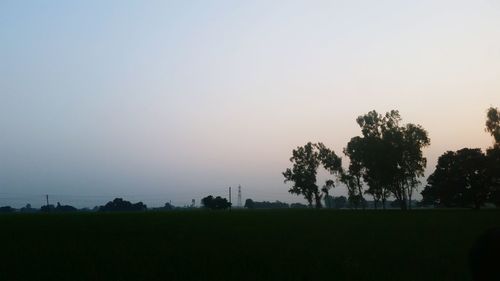 Silhouette trees on field against clear sky